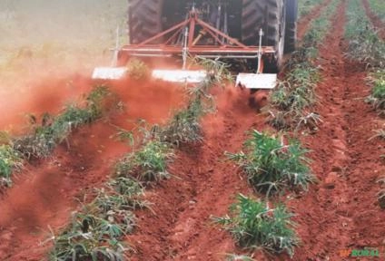 Capinadeira Rotativa ROTACARP | AGRIMEC Imagem Capinadeira Rotativa ROTACARP | AGRIMEC