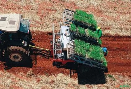 Transplantadora de Mudas de Cana-de-açucar TUPI | AGRIMEC Imagem Transplantadora de Mudas de Cana-de-açucar TUPI | AGRIMEC