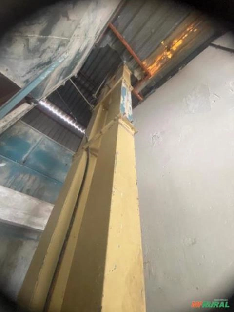 Elevador de Grãos Vertical - 7 Metros - Alta Eficiência no Transporte Imagem Elevador de Grãos Vertical - 7 Metros - Alta Eficiência no Transporte