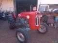 Trator massey ferguson 50X - O famoso "Cinquentinha" Imagem Trator massey ferguson 50X - O famoso "Cinquentinha"