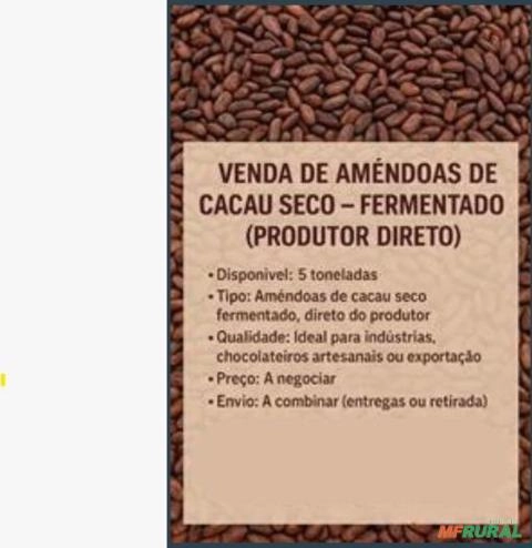 Amêndoas de Cacau Seco Imagem Amêndoas de Cacau Seco