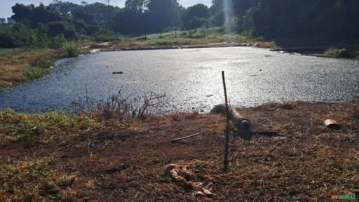 Esterco de suínos Imagem Esterco de suínos