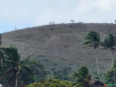 Fazenda com 38 ha em Moita Bonita, SE Imagem Fazenda com 38 ha em Moita Bonita, SE