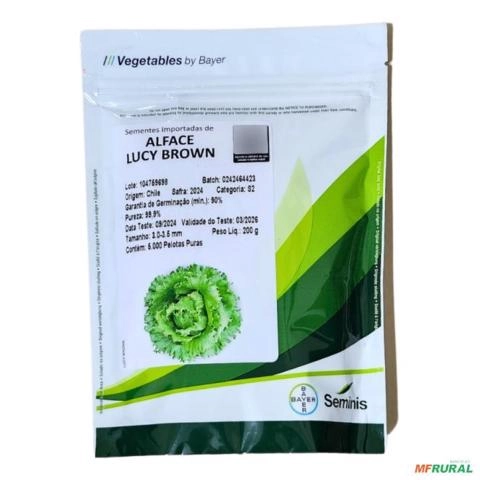 Semente De Alface Americana Lucy Brown 5.000mx +barato Imagem Semente De Alface Americana Lucy Brown 5.000mx +barato