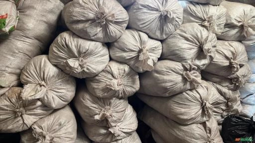 Embalagem de Ráfia em Curiúva PR à venda. Compre direto 871620