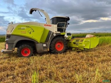 Serviços de Colheita de Silagem Imagem Serviços de Colheita de Silagem