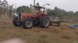 Trator Massey Fergunson 292 Turbo - 1994 Imagem Trator Massey Fergunson 292 Turbo - 1994