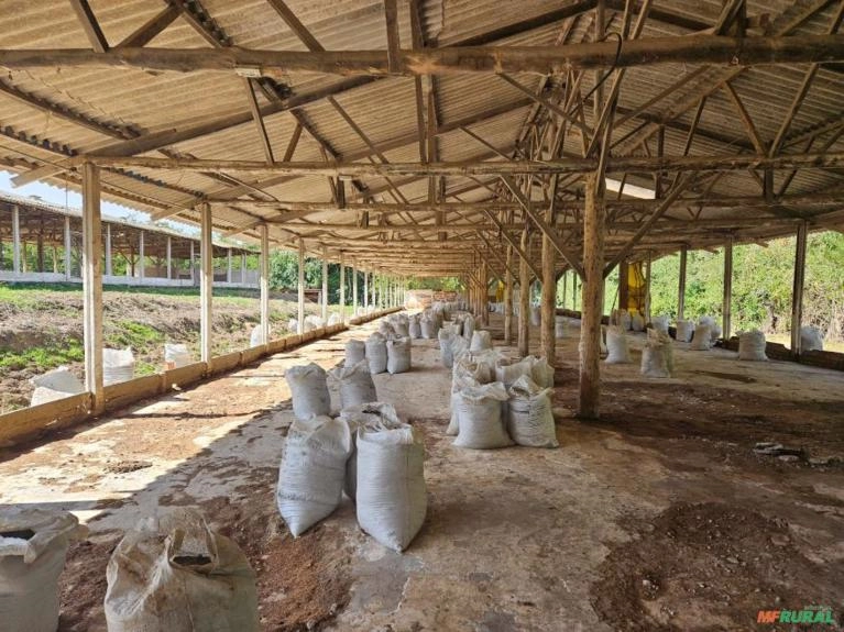 Esterco de Aves Imagem Esterco de Aves