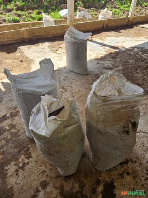 Imagem Esterco de Aves Imagem Esterco de Aves