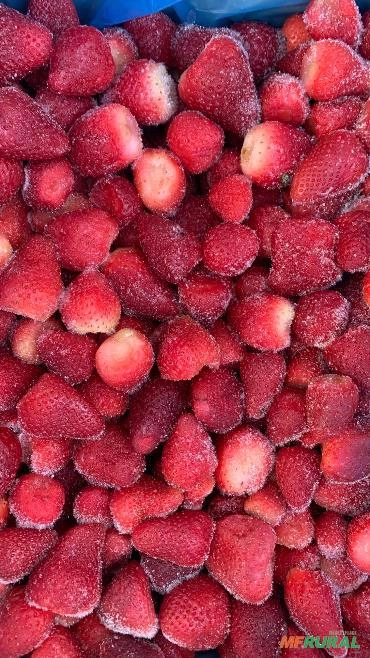 Morango Importado Egípcio Imagem Morango Importado Egípcio