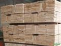 Madeiras de Eucalipto serrada Imagem Madeiras de Eucalipto serrada