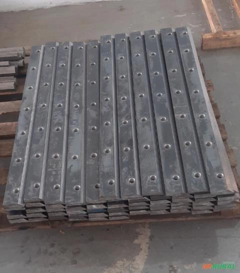 Castanha do rolo do picador Imagem Castanha do rolo do picador