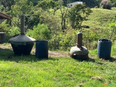 Alambique de Cobre Completo Usado em excelentes condições Imagem Alambique de Cobre Completo Usado em excelentes condições