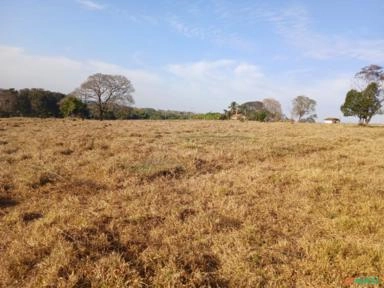 Gramão Mato grosso Imagem Gramão Mato grosso