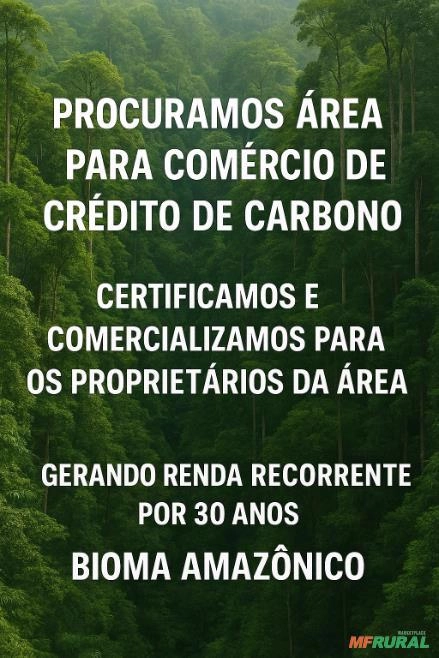Procuro Áreas para Geração de Créditos de Carbono no Bioma Amazônico Imagem Procuro Áreas para Geração de Créditos de Carbono no Bioma Amazônico