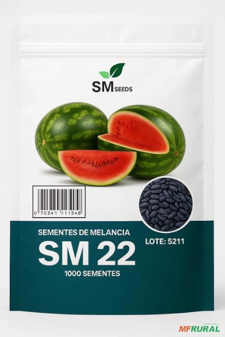 Melancia SM22 alta produtividade Imagem Melancia SM22 alta produtividade