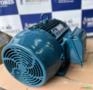 Motor Weg W22 20Cv 4Polos(1750Rpm)220/380/440 Imagem Motor Weg W22 20Cv 4Polos(1750Rpm)220/380/440