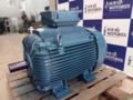 Motor Weg Cx Topo150cv 4Polos (1750Rpm) 220/380/440 Imagem Motor Weg Cx Topo150cv 4Polos (1750Rpm) 220/380/440