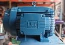 Motor Weg 75cv 4Polos (1750Rpm) 220/380 Imagem Motor Weg 75cv 4Polos (1750Rpm) 220/380