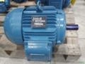 MOTOR WEG TRIFÁSICO W22 10CV 4Polos(1750RPM) 220/380/440 Imagem MOTOR WEG TRIFÁSICO W22 10CV 4Polos(1750RPM) 220/380/440