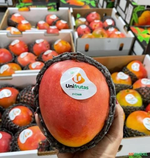 Manga Direto do Produtor Imagem Manga Direto do Produtor