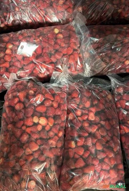 MORANGO CONGELADO Imagem MORANGO CONGELADO