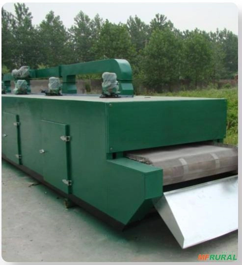 Secador de Esteira Única DW Imagem Secador de Esteira Única DW