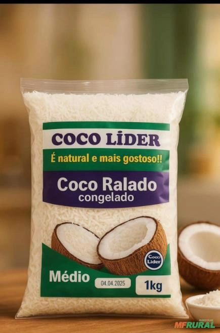 Coco Ralado Congelado Imagem Coco Ralado Congelado