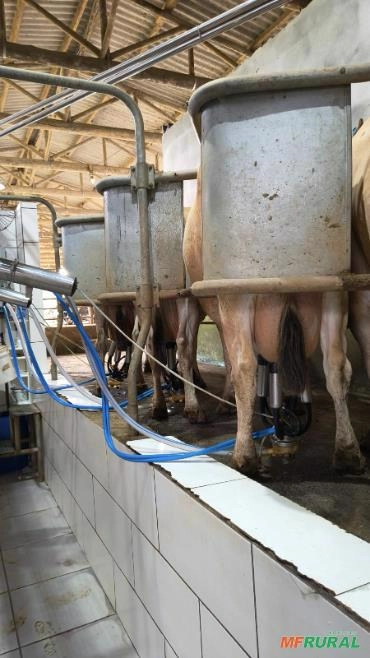 Ordenhadeira Completa Imagem Ordenhadeira Completa