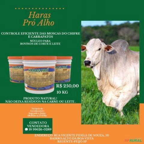 HARAS PRÓ ALHO - NÚCLEO PARA BOVINOS DE CORTE E LEITE. Imagem HARAS PRÓ ALHO - NÚCLEO PARA BOVINOS DE CORTE E LEITE.