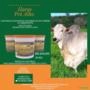 HARAS PRÓ ALHO - NÚCLEO PARA BOVINOS DE CORTE E LEITE. Imagem HARAS PRÓ ALHO - NÚCLEO PARA BOVINOS DE CORTE E LEITE.