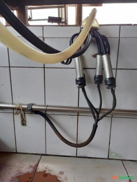 ORDENHA MECANICA Imagem ORDENHA MECANICA