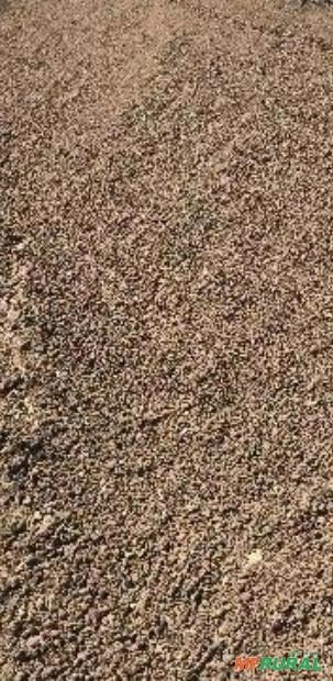 Composto Orgânico no Atacado a partir de 14 Toneladas Imagem Composto Orgânico no Atacado a partir de 14 Toneladas