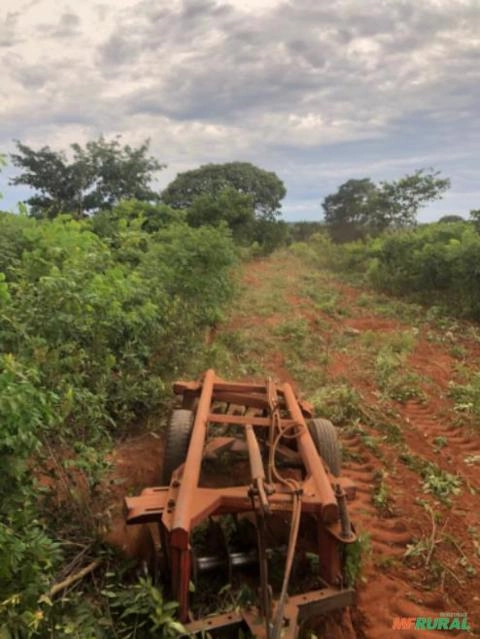 Prestação de serviços agrícolas FREITAS Imagem Prestação de serviços agrícolas FREITAS