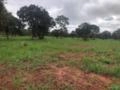 Prestação de serviços agrícolas FREITAS Imagem Prestação de serviços agrícolas FREITAS