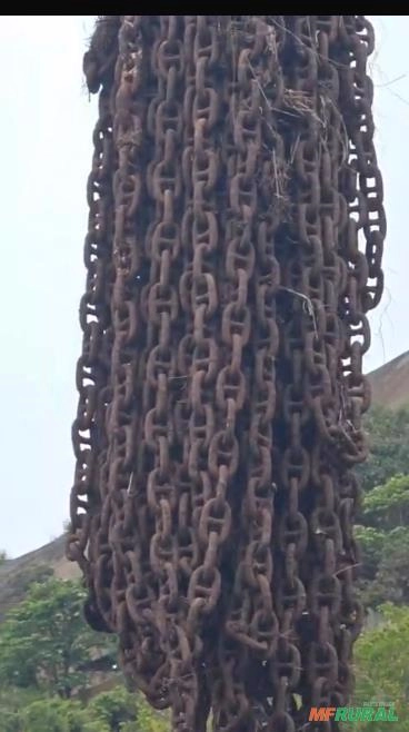 Correntão 1 1/4” Imagem Correntão 1 1/4”