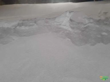 URÉIA Imagem URÉIA