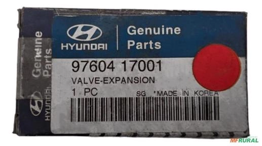 Válvula De Expansão Hyundai Coupe Fx 2.0l / Tiburon Imagem Válvula De Expansão Hyundai Coupe Fx 2.0l / Tiburon