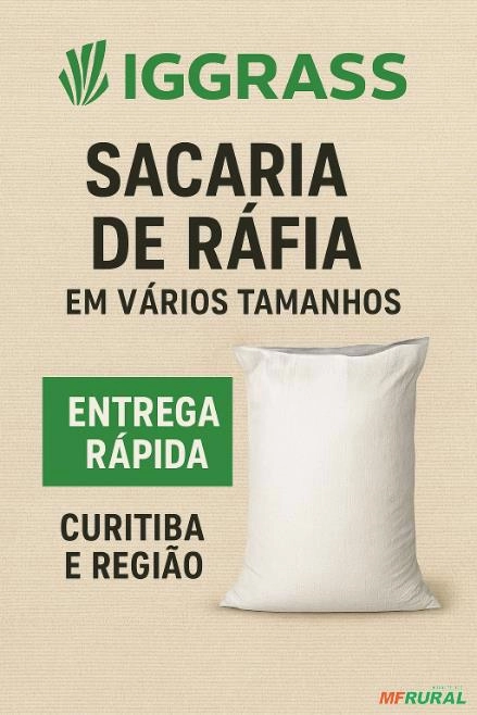 Saco de Rafia 60X90 em São José dos Pinhais PR à venda. Compre 899117