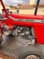 Trator Massey Ferguson 265 Imagem Trator Massey Ferguson 265