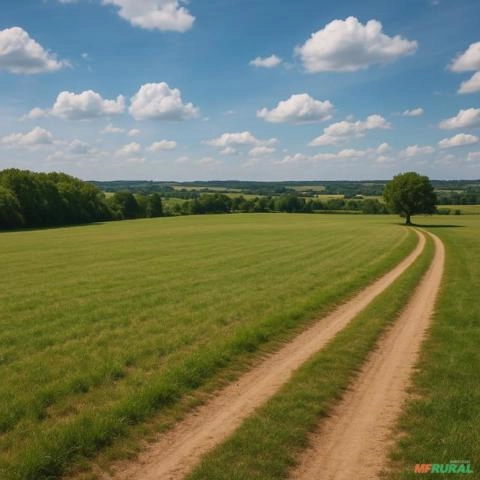 Áreas para Loteamento - SP/MG/GO Imagem Áreas para Loteamento - SP/MG/GO