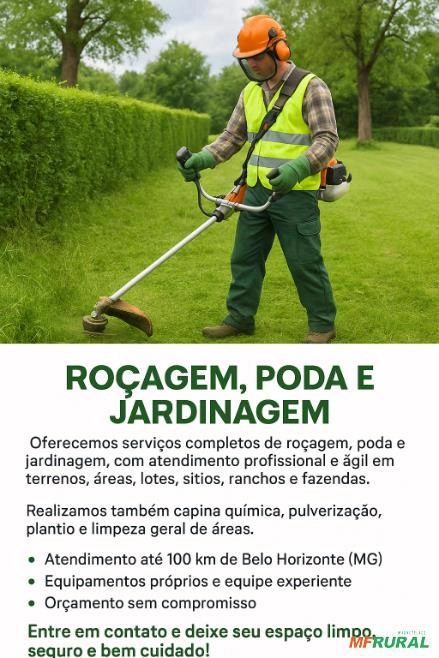 Roçagem, Poda e Limpeza de Terrenos Imagem Roçagem, Poda e Limpeza de Terrenos