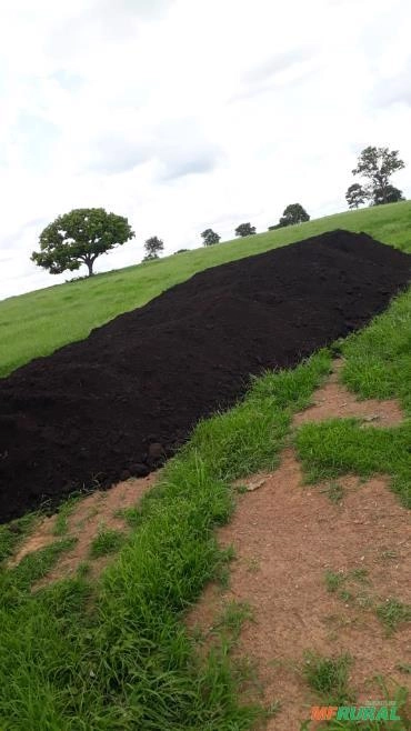 Composto de Poedeira Imagem Composto de Poedeira