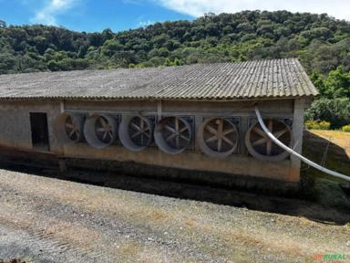 Equipamentos de aviários usados Imagem Equipamentos de aviários usados