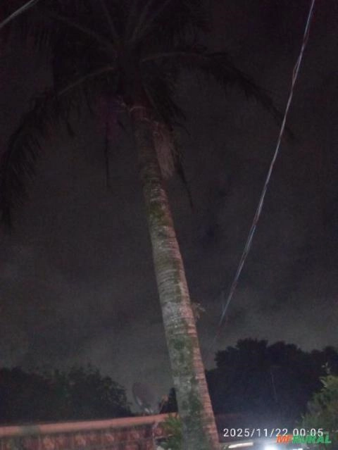 Tenho um pé Imagem Tenho um pé