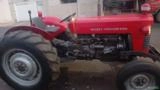 Vende Trator MF 65x Imagem Vende Trator MF 65x