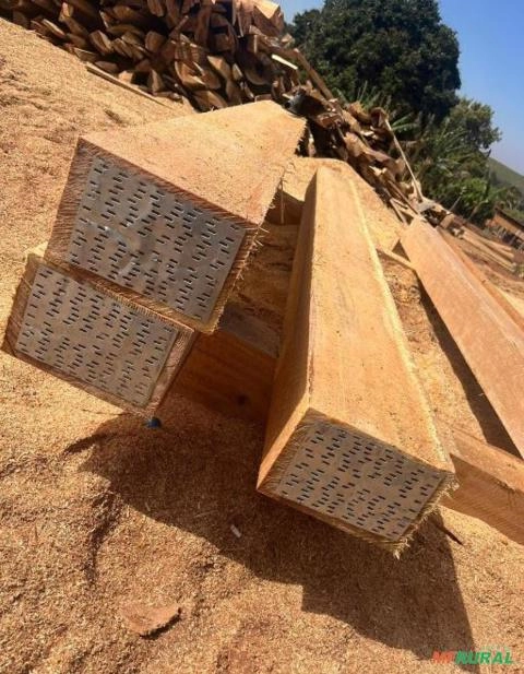 Madeira dormente Imagem Madeira dormente