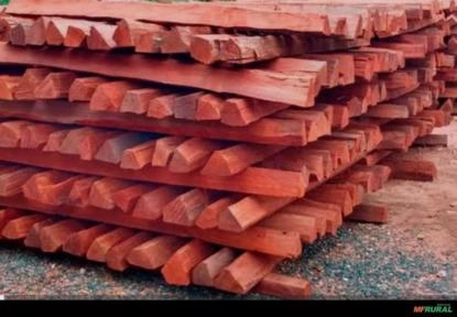 Lasca de Aroeira Imagem Lasca de Aroeira