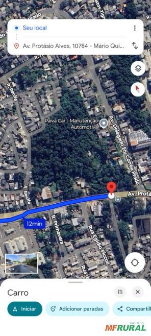 Vendo madeira no pé, variedades Imagem Vendo madeira no pé, variedades