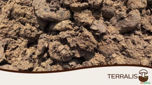 ADUBO ORGÂNICO - Substrato Pós-Cultivo de Cogumelos Imagem ADUBO ORGÂNICO - Substrato Pós-Cultivo de Cogumelos